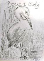 Kočíková Tatiana.jpg